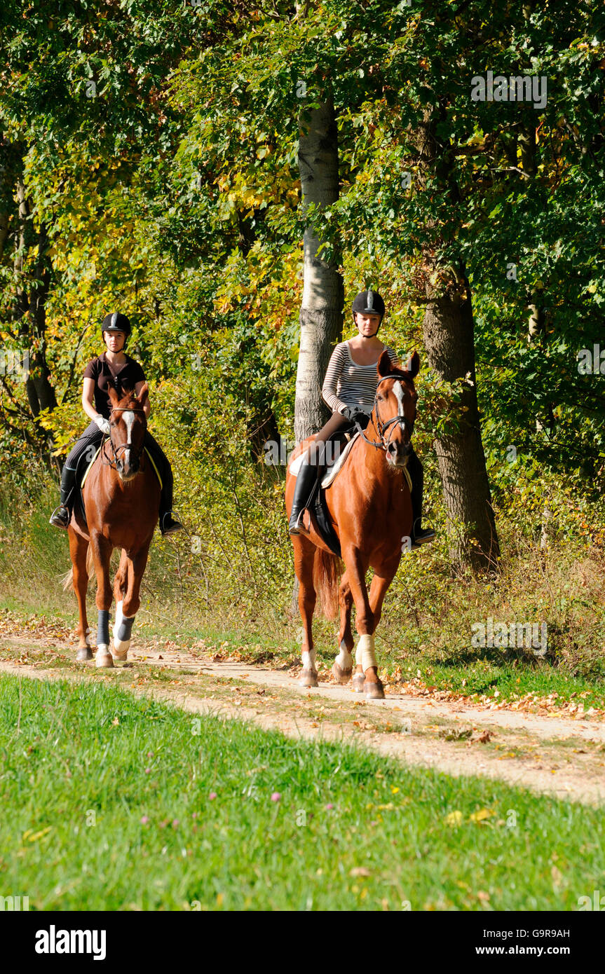 Des jumeaux avec les chevaux, Warmblood allemand, Sorrell, bridle, équitation, randonnée, helme Banque D'Images