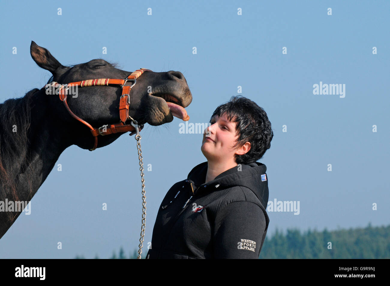 Femme avec Quarter Horse / langue, dos-nu Banque D'Images