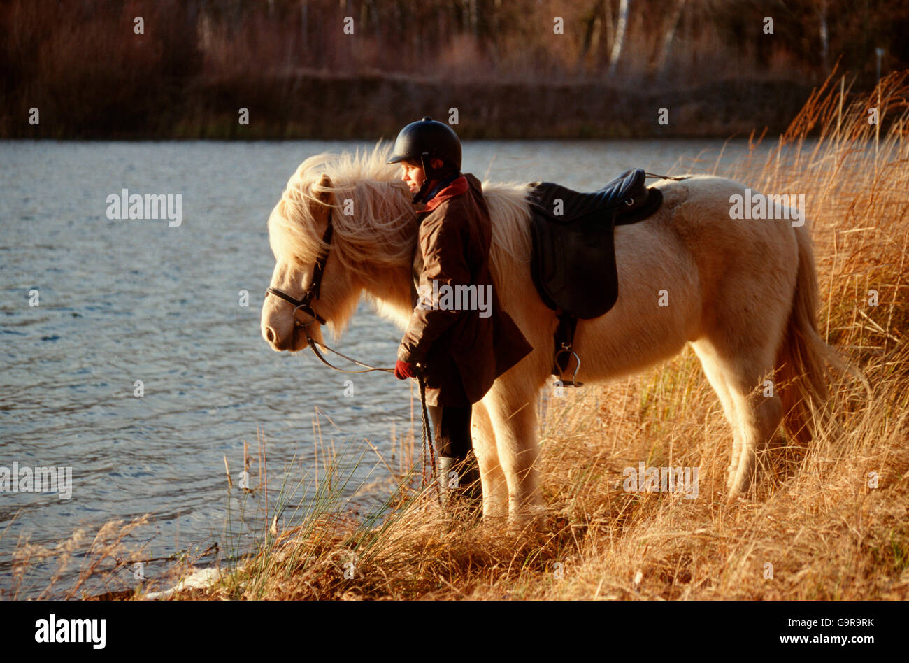 Fille avec cheval islandais, au lac / sellé Banque D'Images