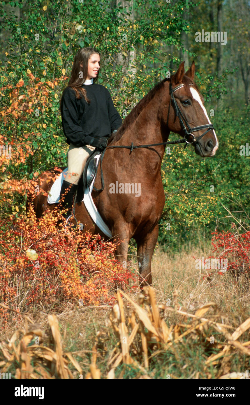 Girl riding Hanovre / bridle, tack Banque D'Images