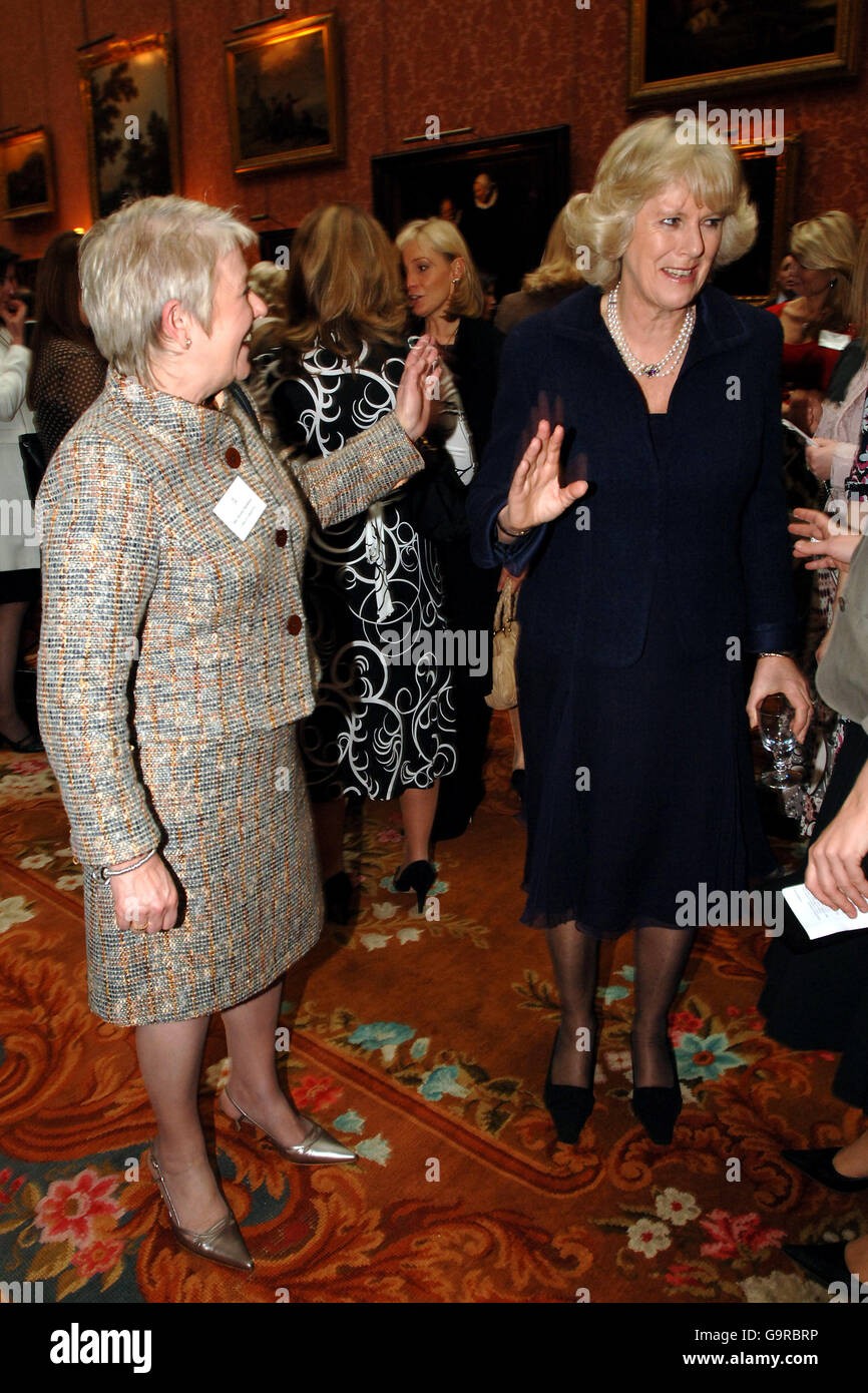 La duchesse de Cornouailles (l) rencontre aujourd'hui Mme Dianne Thompson du groupe PLC Camelot lors d'une réception femmes d'affaires à Buckingham Palace, le jour de la Saint-Valentin. Banque D'Images