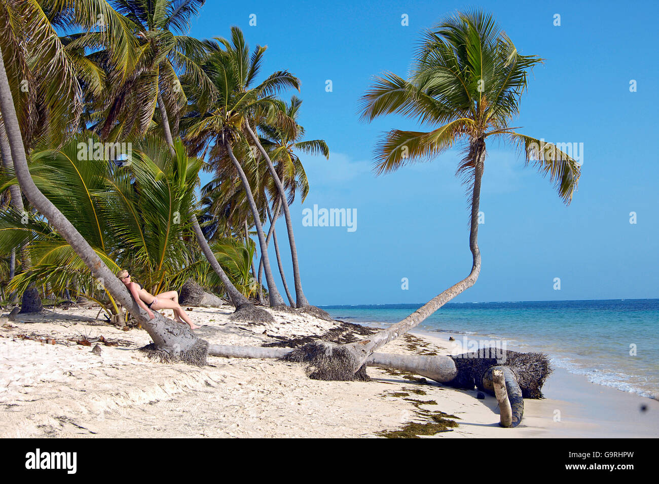 Woman at beach, palm tree, Punta Cana, République dominicaine, Caraïbes Banque D'Images