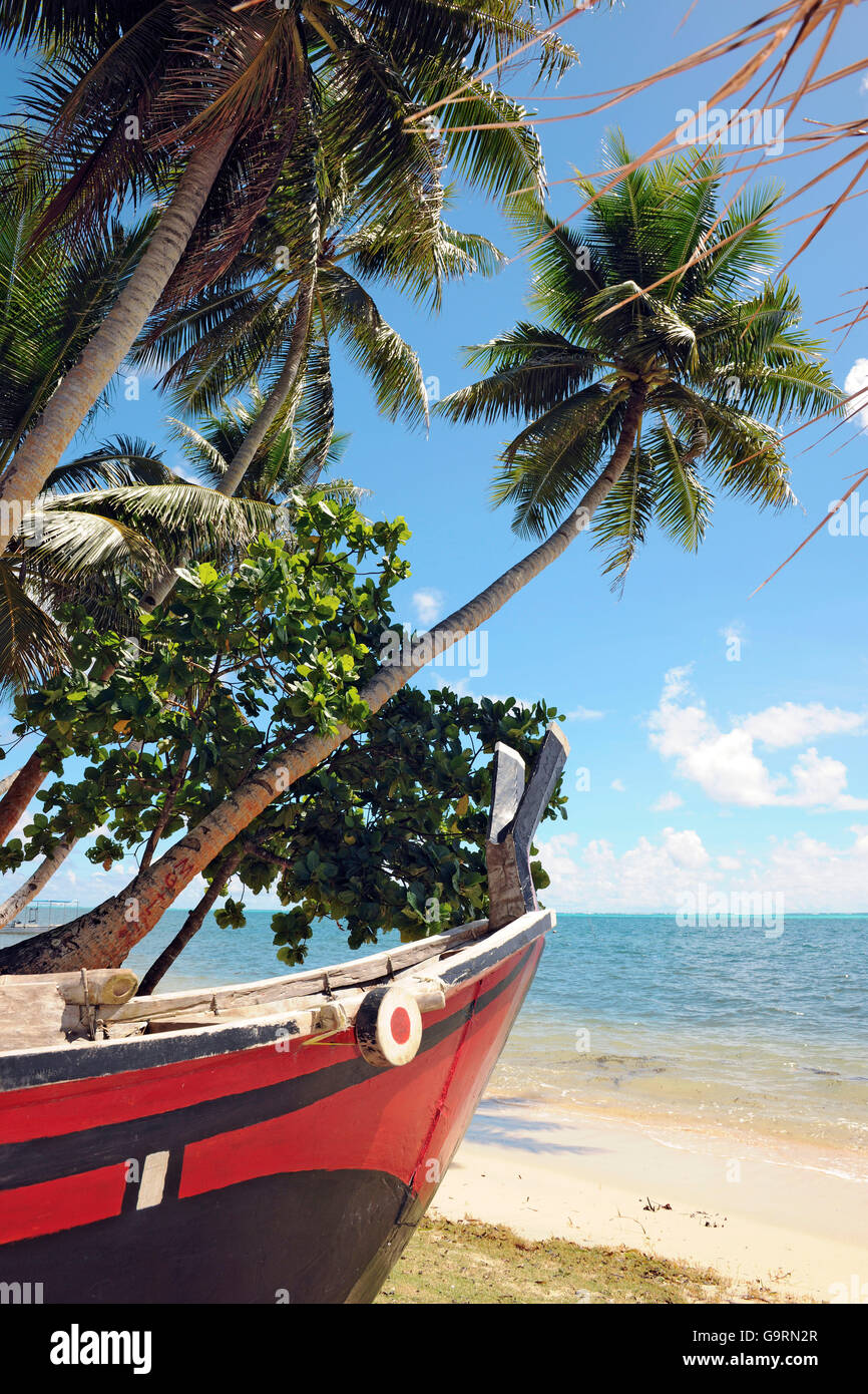 Canoë traditionnel à la plage sous les palmiers, Yap, Micronésie, le Pacifique occidental Banque D'Images