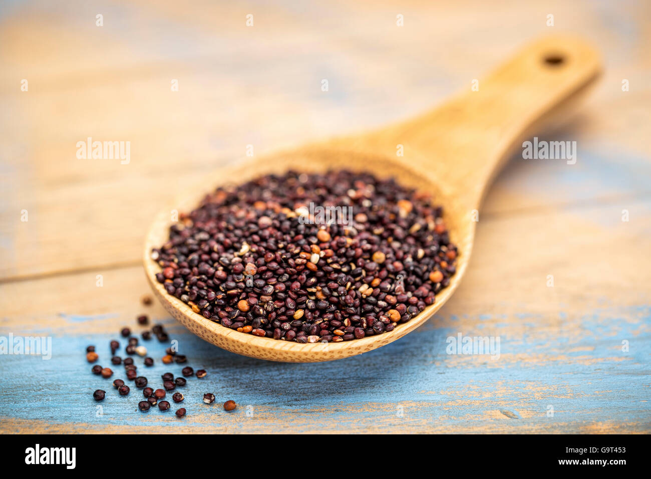 Sans gluten quinoa noir grain sur une cuillère en bois peint bleu contre bois grunge Banque D'Images