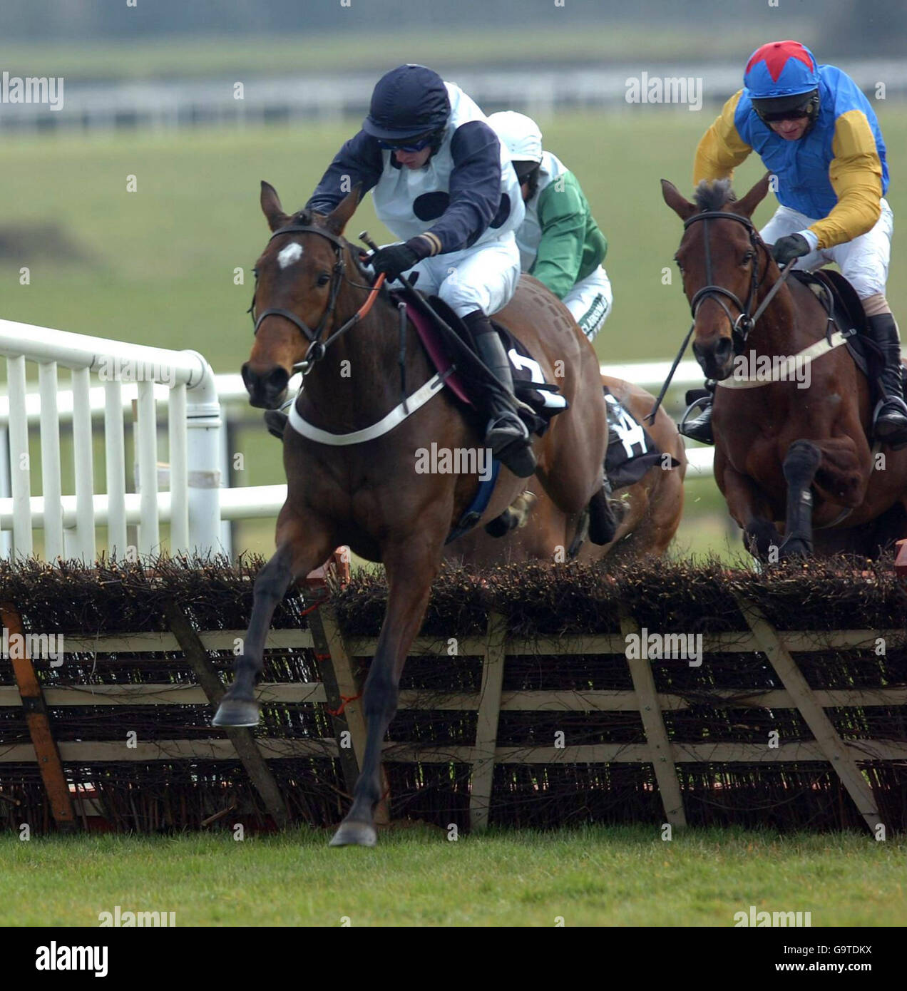 Grangeclare Lark, criblé de Roger Loughran, remporte l'épreuve de novice de Stallion Farms (EBF) irlandaise au champ de courses de Fairyhouse. Banque D'Images