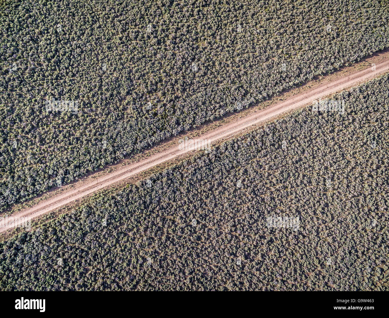 Route de terre de l'arrière-pays à travers champs couverts par l'armoise - vue aérienne Banque D'Images