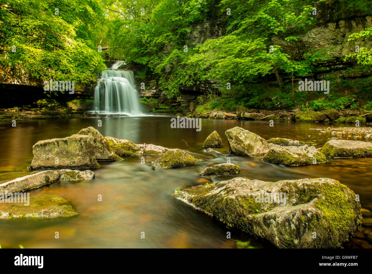 Chaudron Falls est une cascade sur Walden Beck près du village de West Burton yorkshire uk Banque D'Images