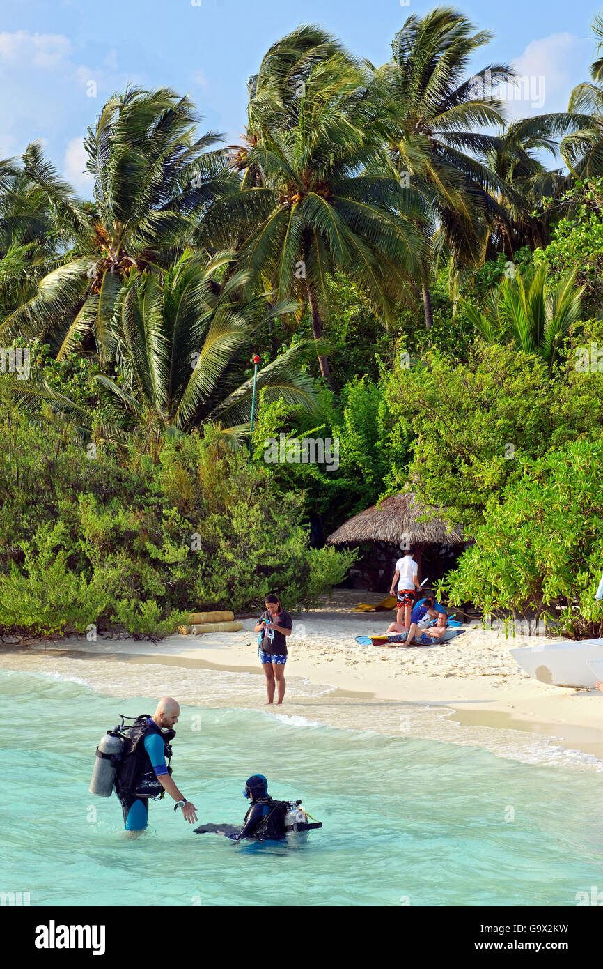 Divers La marche dans la mer, de la plage de l'île les Maldives, Maldives, l'Asie, de l'Océan Indien Banque D'Images