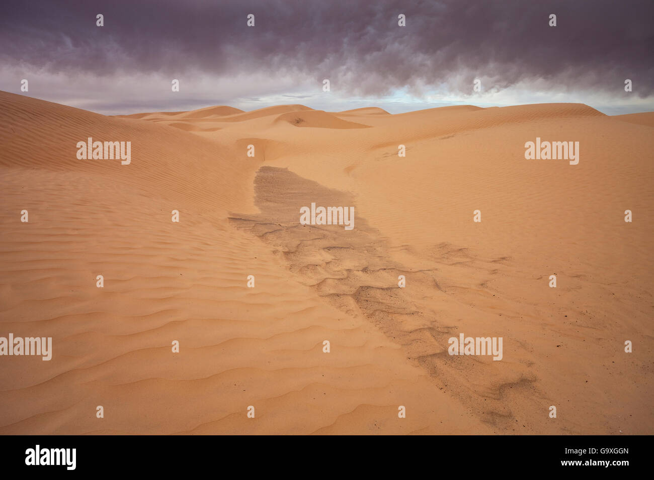 Les nuages de tempête sur les dunes du désert. Grand Erg Oriental, le Gouvernorat de Kébili. La Tunisie. Janvier 2013. Banque D'Images