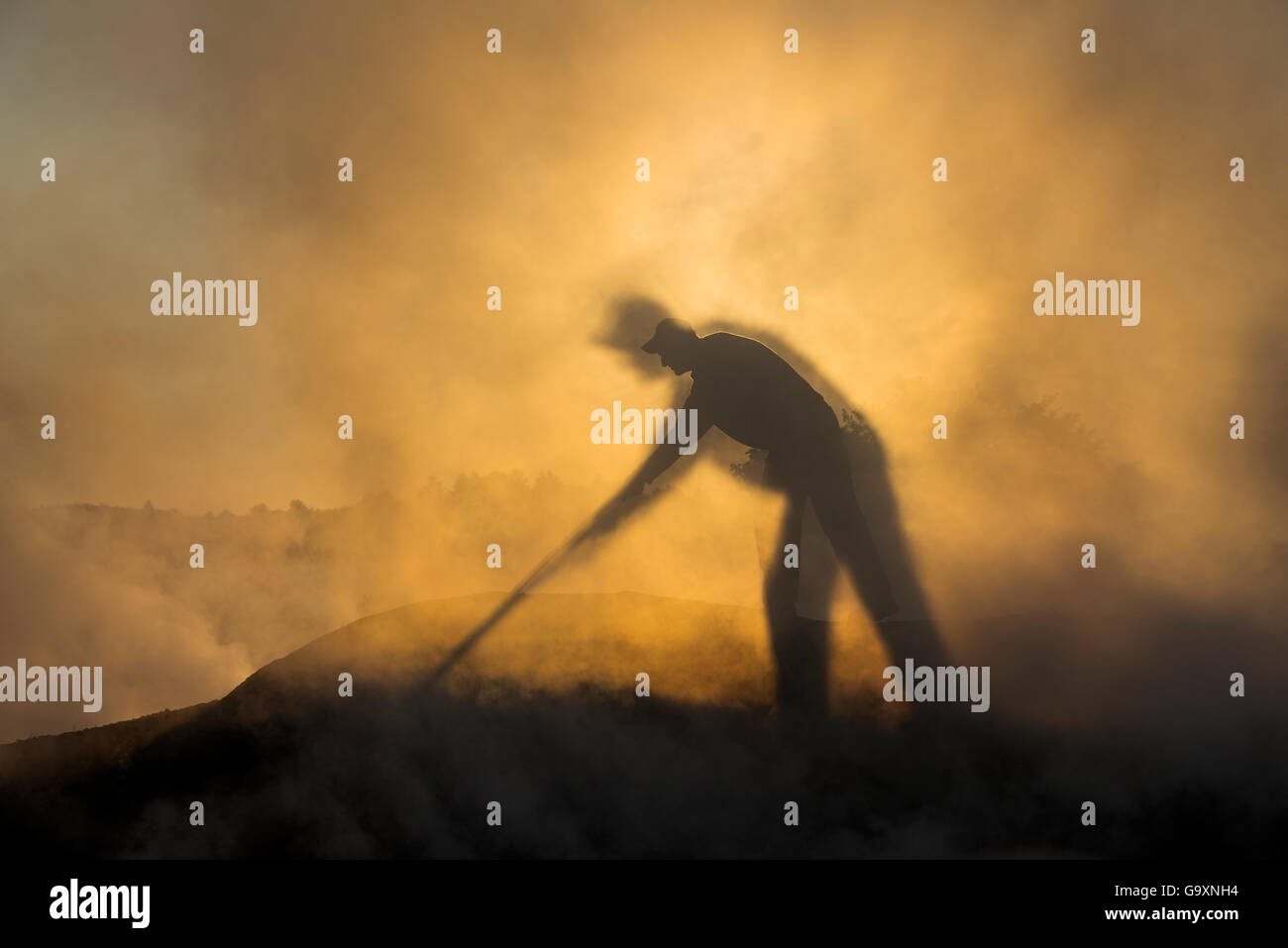 Foyer à charbon d'organiser un tas de brûler du bois, se découpant dans la lumière du matin à l'ombre sur la fumée, Calonda, Harghita, Transylv Banque D'Images