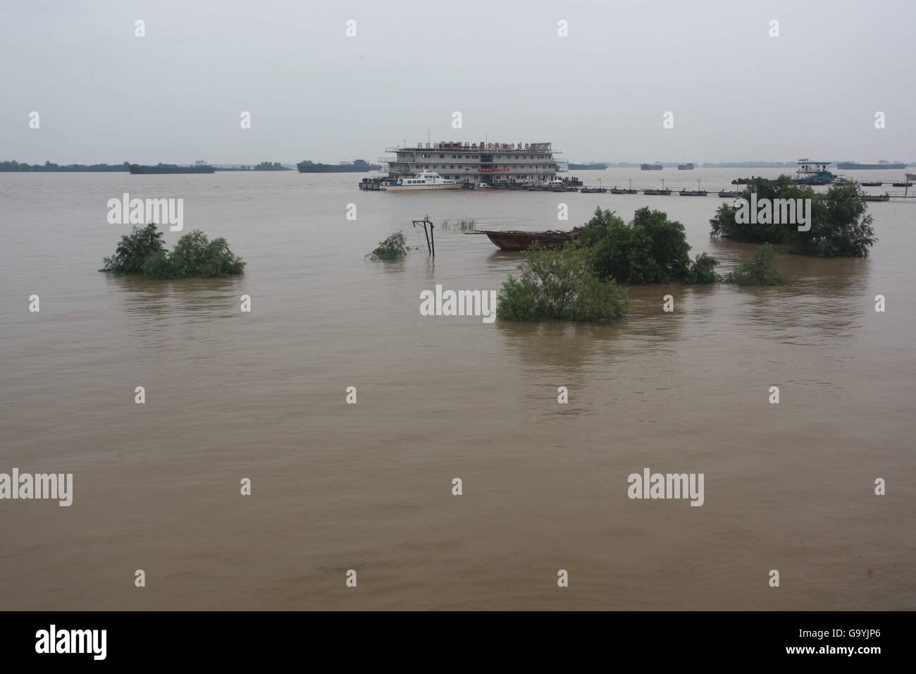 Hukou. 4 juillet, 2016. Photo prise le 4 juillet 2016 montre des arbres immergés le long d'une digue de la Poyang Lake dans le comté de Hukou de Jiujiang, province de Jiangxi, Chine orientale. Au niveau de l'eau station hydrologique Xingzi Hukou et station du lac Poyang atteint 19,89 mètres et 19,86 mètres respectivement lundi après-midi, 0,89 mètres et 0,36 mètres de plus que la ligne d'avertissement, respectivement. Ville a lancé un niveau IV de l'intervention d'urgence. © Zhang Jun/Xinhua/Alamy Live News Banque D'Images