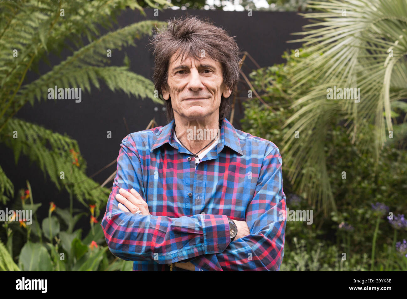 Londres, Royaume-Uni. 4 juillet 2016. Musicien des Rolling Stones Ronnie Wood. Appuyez sur jour à la RHS Hampton Court Flower Show. Le spectacle est ouvert au public du 5 au 10 juillet 2016. Crédit : Images éclatantes/Alamy Live News Banque D'Images