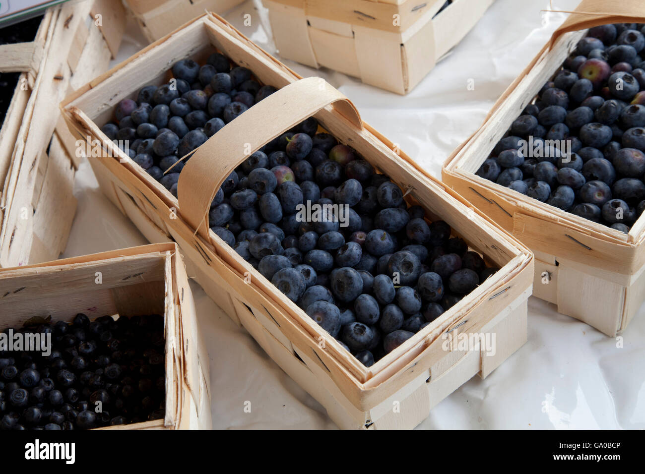 Paniers de bleuets sur le marché, Dortmund, région de la Ruhr, en Rhénanie du Nord-Westphalie, PublicGround Banque D'Images