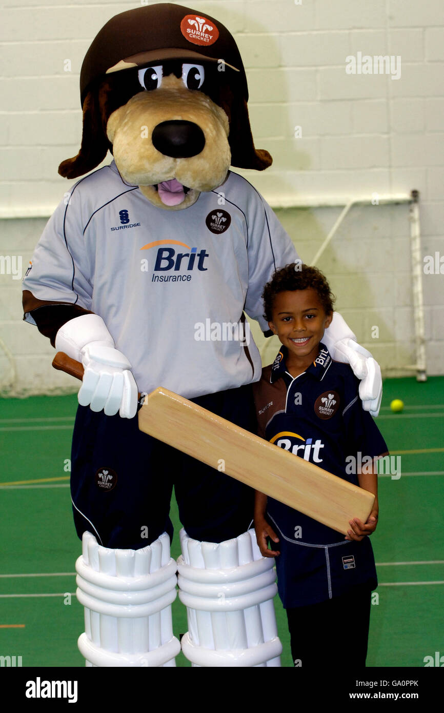 Cricket - Friends Provident Trophy South Group - Surrey Brown Caps / Irlande - Le Brit Oval Banque D'Images