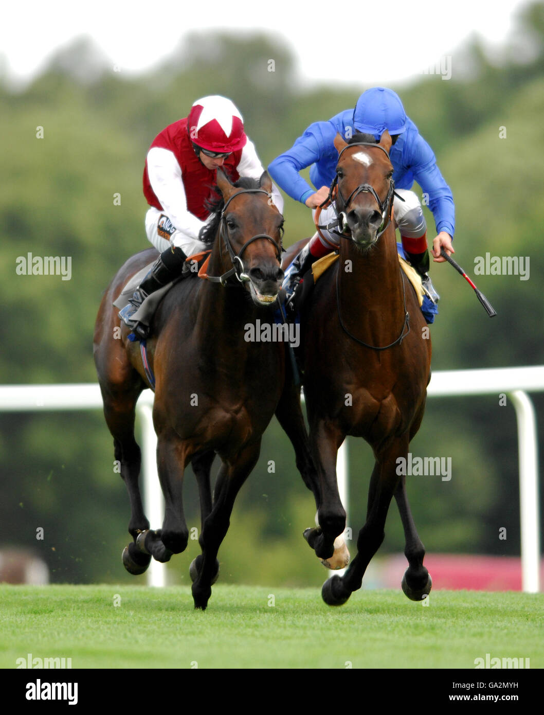 Les courses de chevaux - Propriété Mesdames Jour - Sandown Park Racecourse Banque D'Images