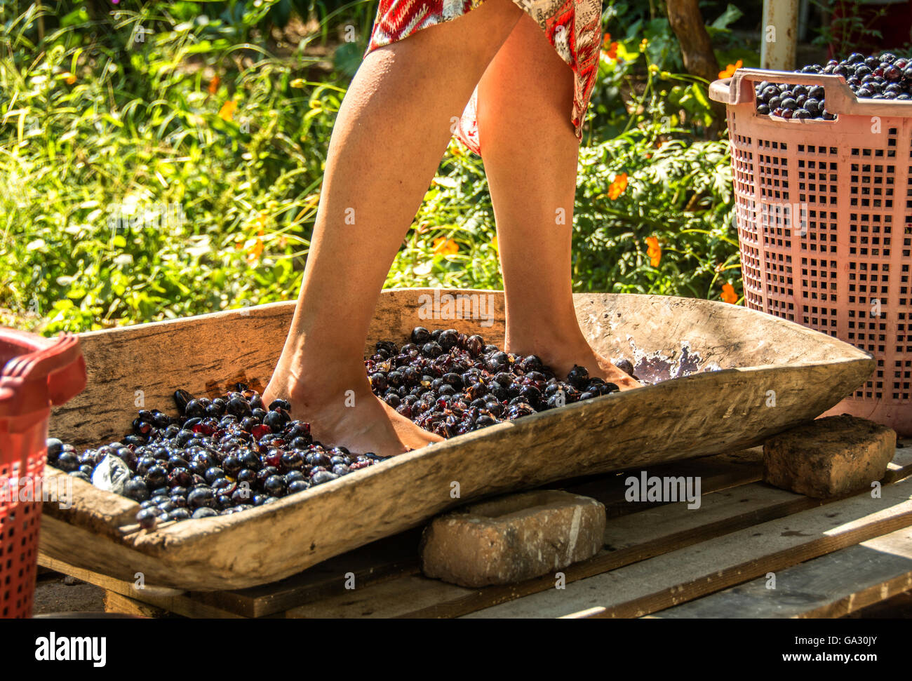 jeune fille a écrasé du raisin Banque D'Images