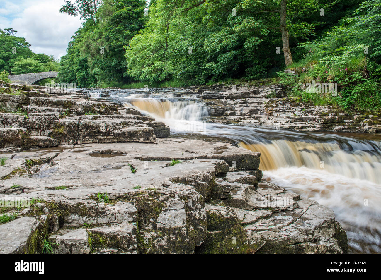 Stainforth Beck et cascades sur la rivière Ribble dans Ribblesdale Yorkshire Dales National Park par un après-midi d'été, UK Banque D'Images