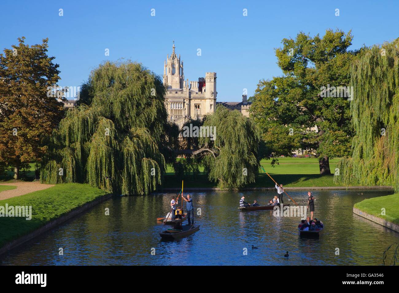 Barque sur la rivière Cam du dos, près de St John's College, Université de Cambridge, Cambridgeshire, Angleterre, RU, FR, Europe Banque D'Images