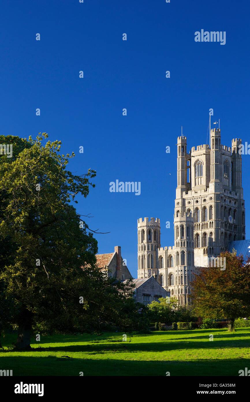 Cathédrale d'Ely en fin d'après-midi soleil, Église de la sainte et indivise Trinité, Cambridgeshire Angleterre GO UK Banque D'Images