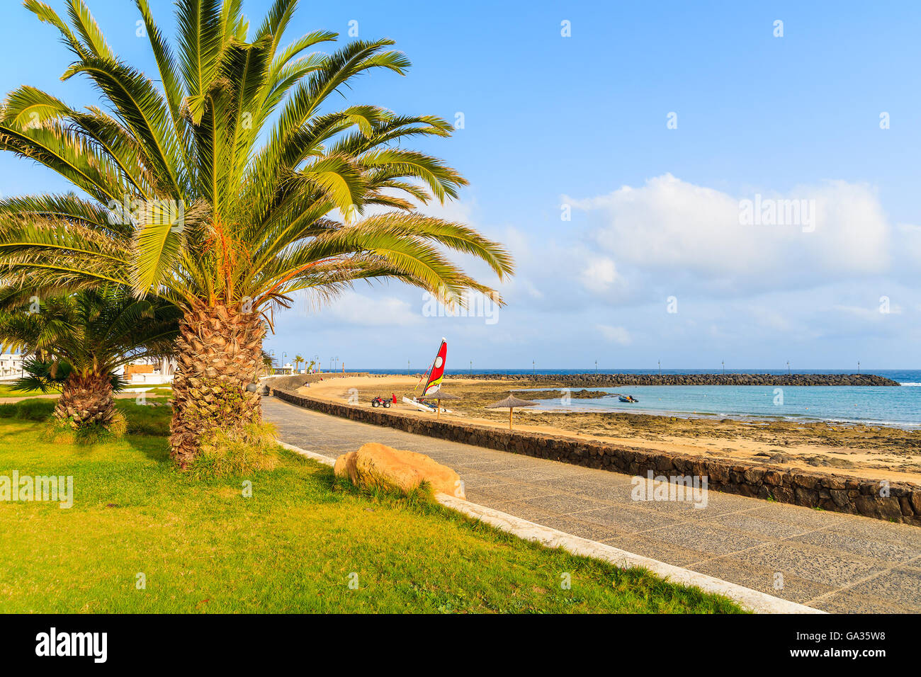 Palmier sur la promenade côtière le long d'une plage de Costa Teguise, Lanzarote, îles Canaries, Espagne Banque D'Images