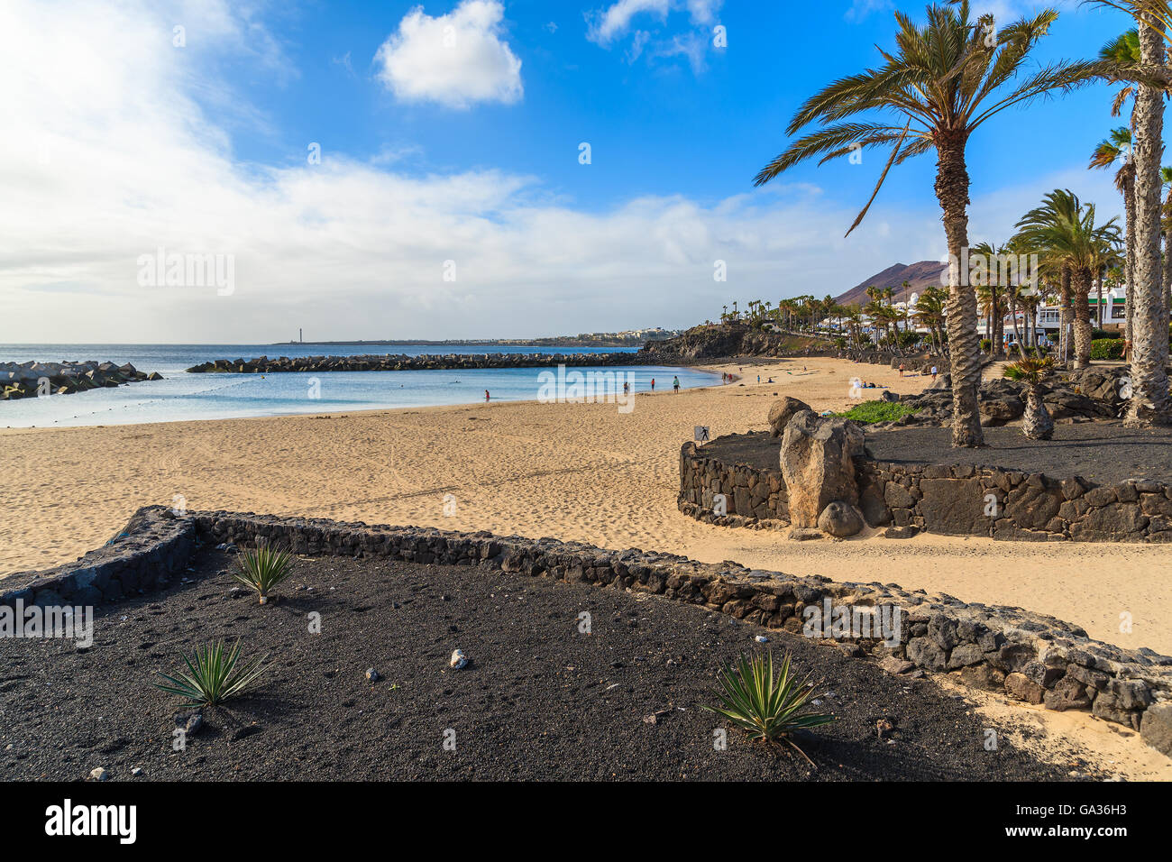 Flamingo Beach avec des palmiers à Playa Blanca maison de village sur la côte de l'île de Lanzarote, Espagne Banque D'Images