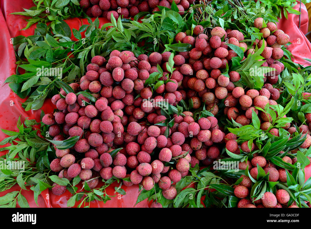 Fruits à la journée Lechee marché dans la ville de Phuket sur l'île de Phuket dans le sud de la Thaïlande en Southeastasia. Banque D'Images