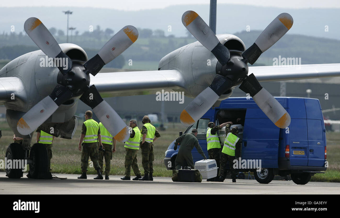 Un jeune aigle à queue blanche dans des boîtes est enlevé d'un avion à la RAF Kinloss, après que l'Armée de l'air norvégienne a transporté les oiseaux à la base aérienne écossaise. Banque D'Images