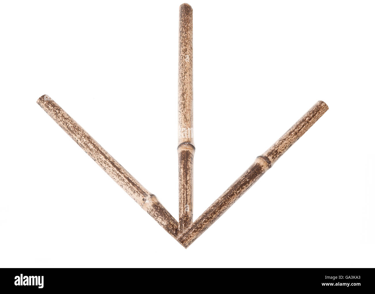 Arbres de flèche en bambou – Durables et polyvalents pour le
