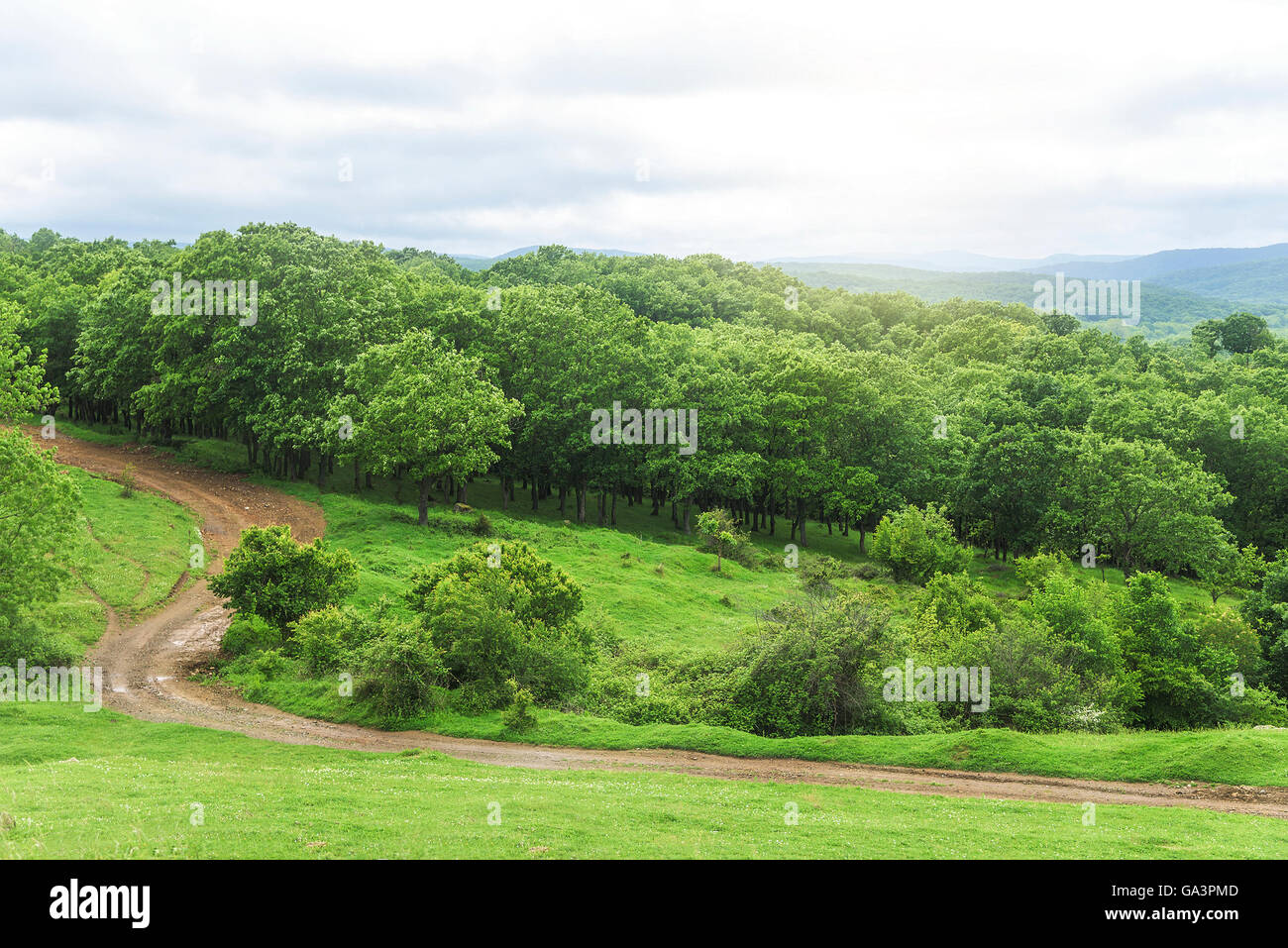 Paysage de forêt et de montagnes basses. Une vue de la Strandja Nature Reserve. Banque D'Images