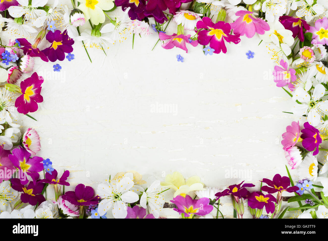 Fleurs de Printemps sur fond vintage. Banque D'Images