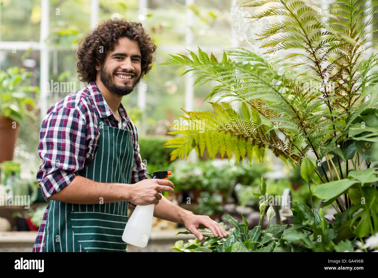 Heureux homme jardinier l'arrosage des plantes Banque D'Images