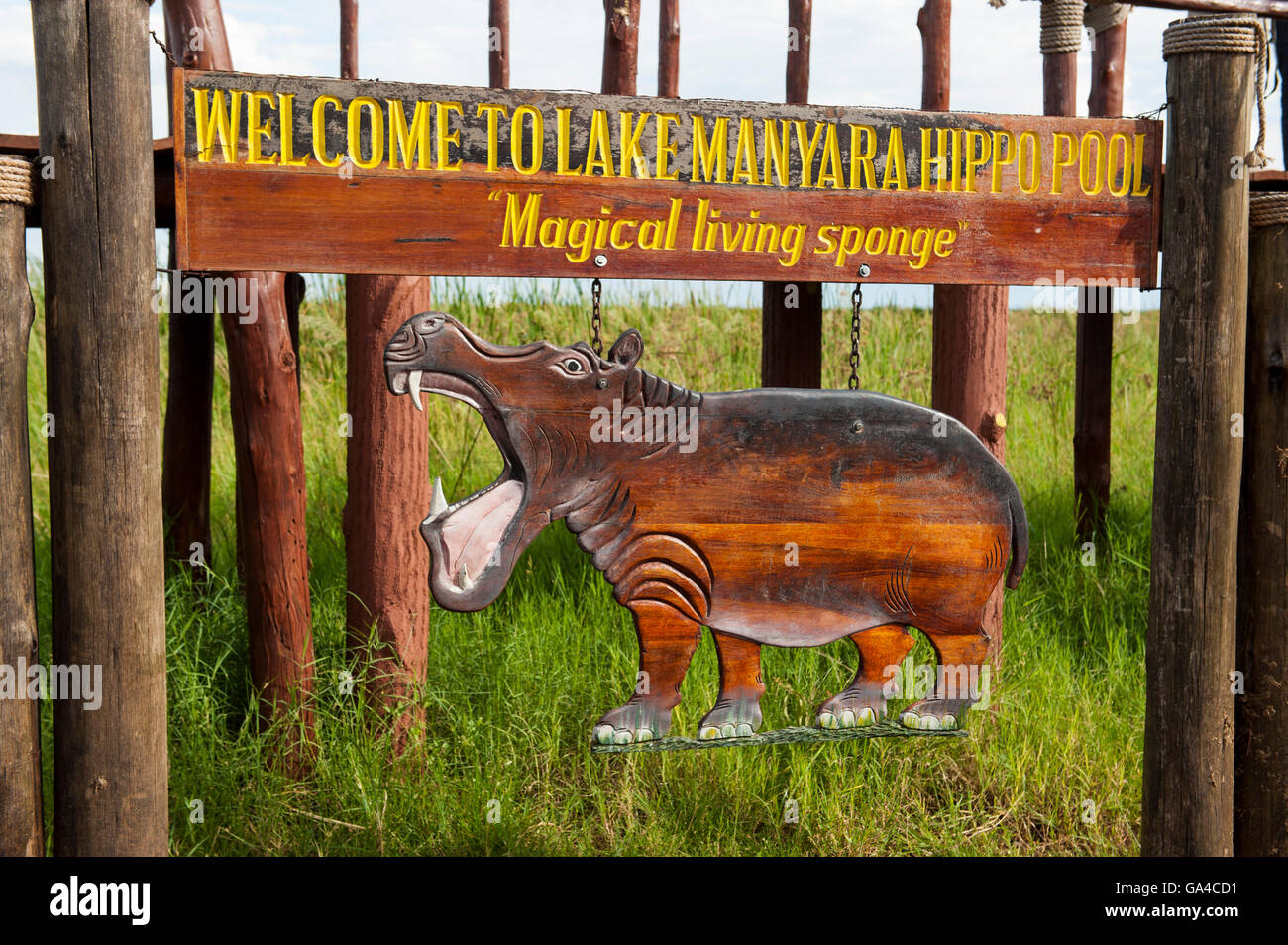 Hippo extérieure plate-forme, le parc national du lac Manyara, Tanzanie Banque D'Images