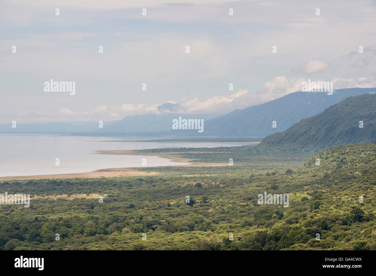 Vue sur le parc national du lac Manyara, Tanzanie Banque D'Images