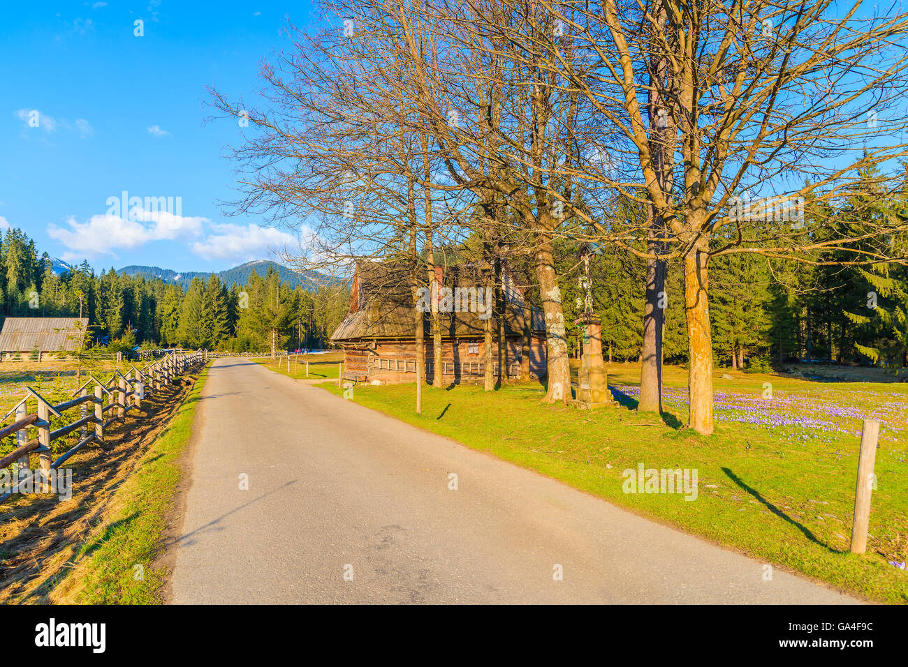 Route de montagne dans la vallée Chocholowska dans la saison du printemps, Tatras, Pologne Banque D'Images