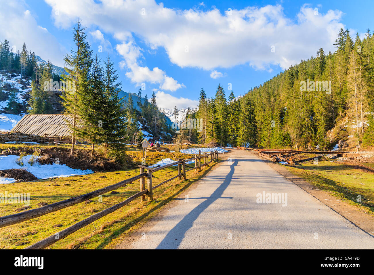 Route de montagne dans la vallée Chocholowska dans la saison du printemps, Tatras, Pologne Banque D'Images