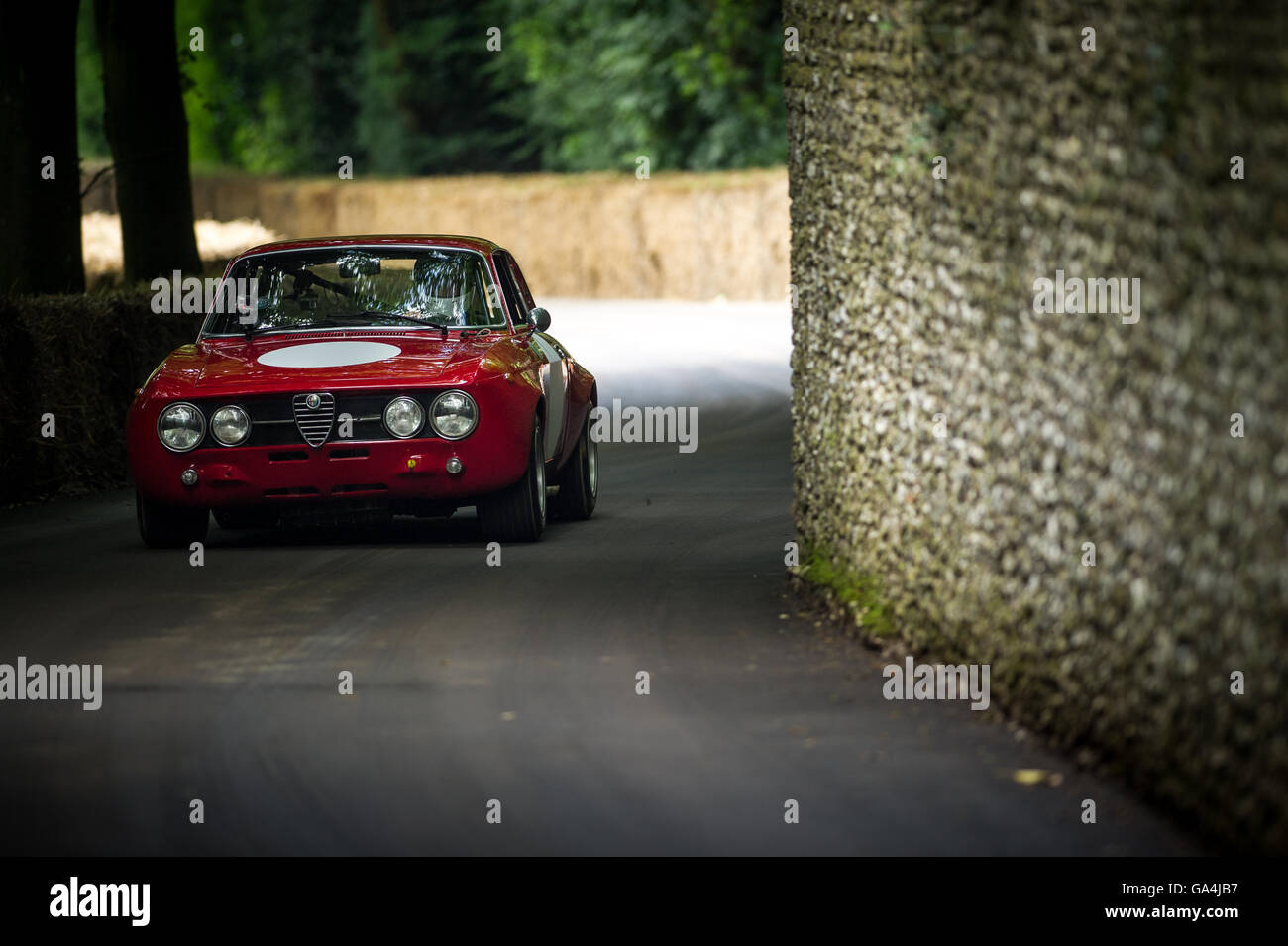 Alfa Romeo 1750 GTAm durs jusqu'à la colline le 24 juin 2016 au Goodwood Festival of Speed Banque D'Images