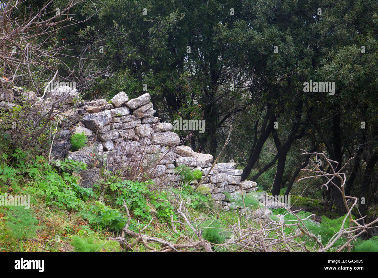 Monte Judica, indigènes hellénisés de règlement. Catane, Sicile. Banque D'Images