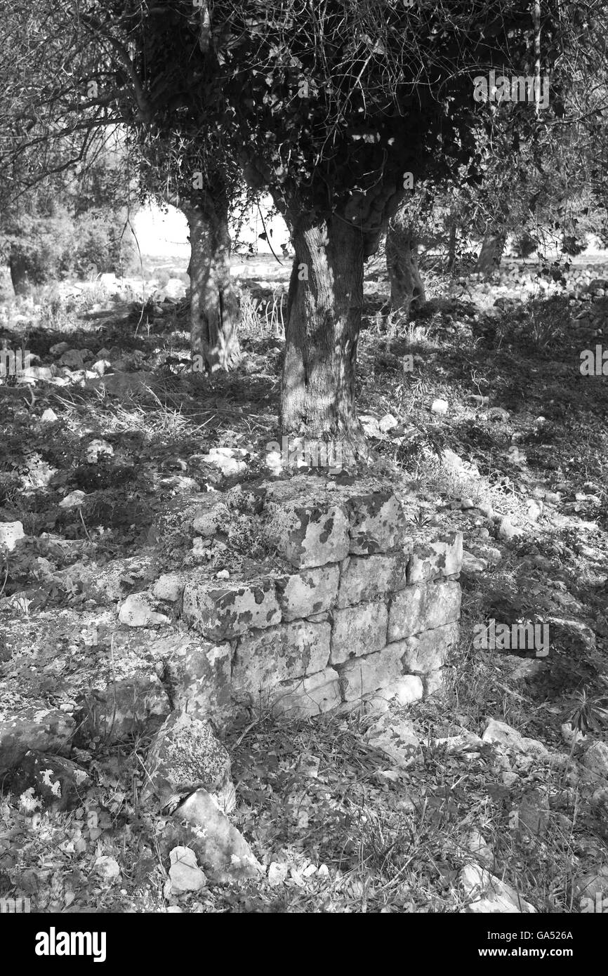 Noto ancienne, maisons et les zones rocailleuses, détruit par le tremblement de terre de 1693 Banque D'Images