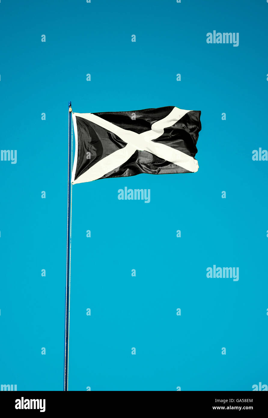 drapeau de pirate Banque D'Images