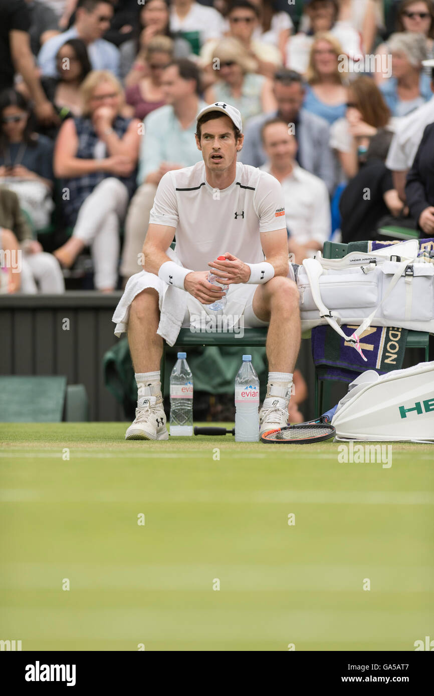 Londres, Royaume-Uni. 2 juillet, 2016. Le Wimbledon Tennis Championships 2016 tenue à l'All England Lawn Tennis et croquet Club, Londres, Angleterre, Royaume-Uni. Andy Murray (GBR) [2] v John Millman (AUS) sur le Court central. Sur la photo :- Andy Murray gesticule pour son entourage dans la boîte des joueurs au cours d'un changement de la finalité. Credit : Duncan Grove/Alamy Live News Banque D'Images