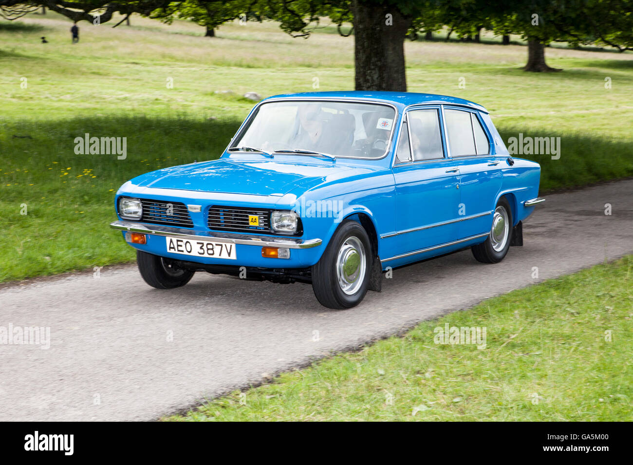 Blue 1980 80s Triumph Dolomite 1300, au Leighton Hall Classic car Rally, Carnforth, Lancashire, Royaume-Uni. Juillet 2016. Le rallye automobile classique annuel a lieu au magnifique Leighton Hall de Carnforth dans le Lancashire. Les voitures de sport classiques britanniques de l'événement ont attiré des milliers de visiteurs dans cette partie pittoresque du pays, sur la côte nord-ouest de l'Angleterre. Crédit : Cernan Elias/Alay Live News Banque D'Images