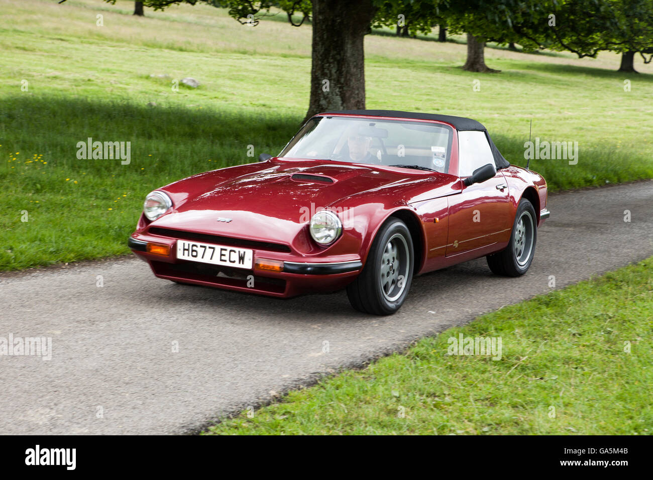 1991 TVR 290S à Leighton Hall Classic Car Rally, Carnforth, Lancashire, Royaume-Uni. 3 juillet, 2016. Le rallye automobile classique annuelle a lieu dans le magnifique hall Leighton dans Carnforth Lancashire. Les voitures de sport classiques britanniques allant de MG à l'American muscle cars comme la Dodge Viper et Ford Mustang. Le spectateur a attiré des milliers de visiteurs dans cette partie du pays pittoresque sur la côte nord-ouest de l'Angleterre. Credit : Cernan Elias/Alamy Live News Banque D'Images