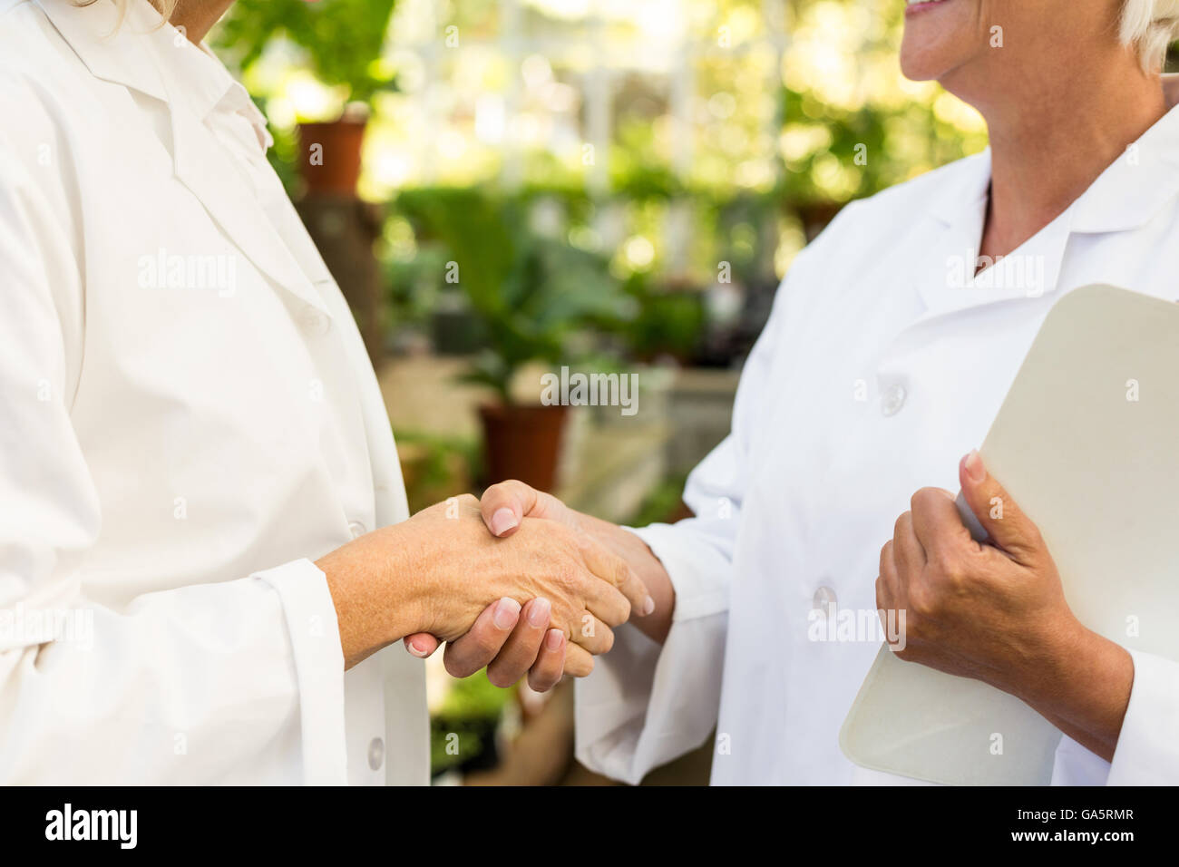 Portrait de femme colleagues shaking hands Banque D'Images