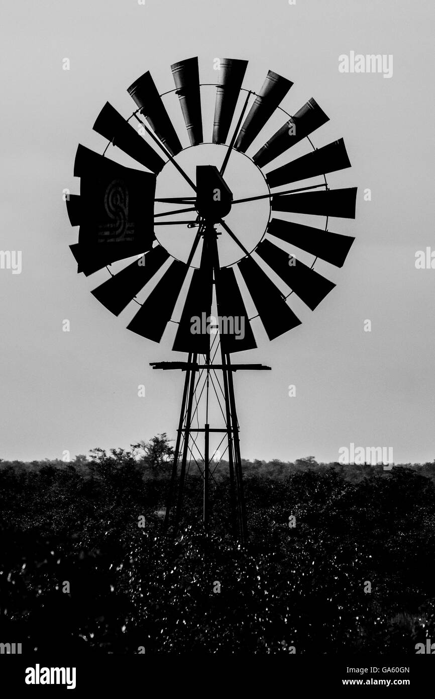 Ancien moulin à vent en noir & blanc Banque D'Images