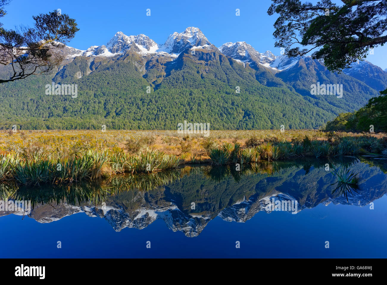 Lake Matheson par des réflexions de montagnes, le parc national de Fiordland, Milford Sound, île du sud, Southland, Nouvelle-Zélande Banque D'Images