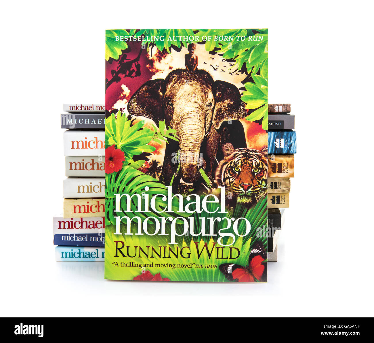 Running Wild par Michael Morpurgo sur fond blanc Banque D'Images