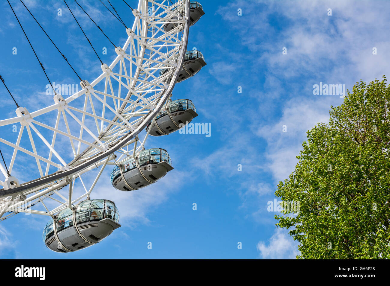 London Eye et l'arbre sur une journée ensoleillée à Londres Banque D'Images