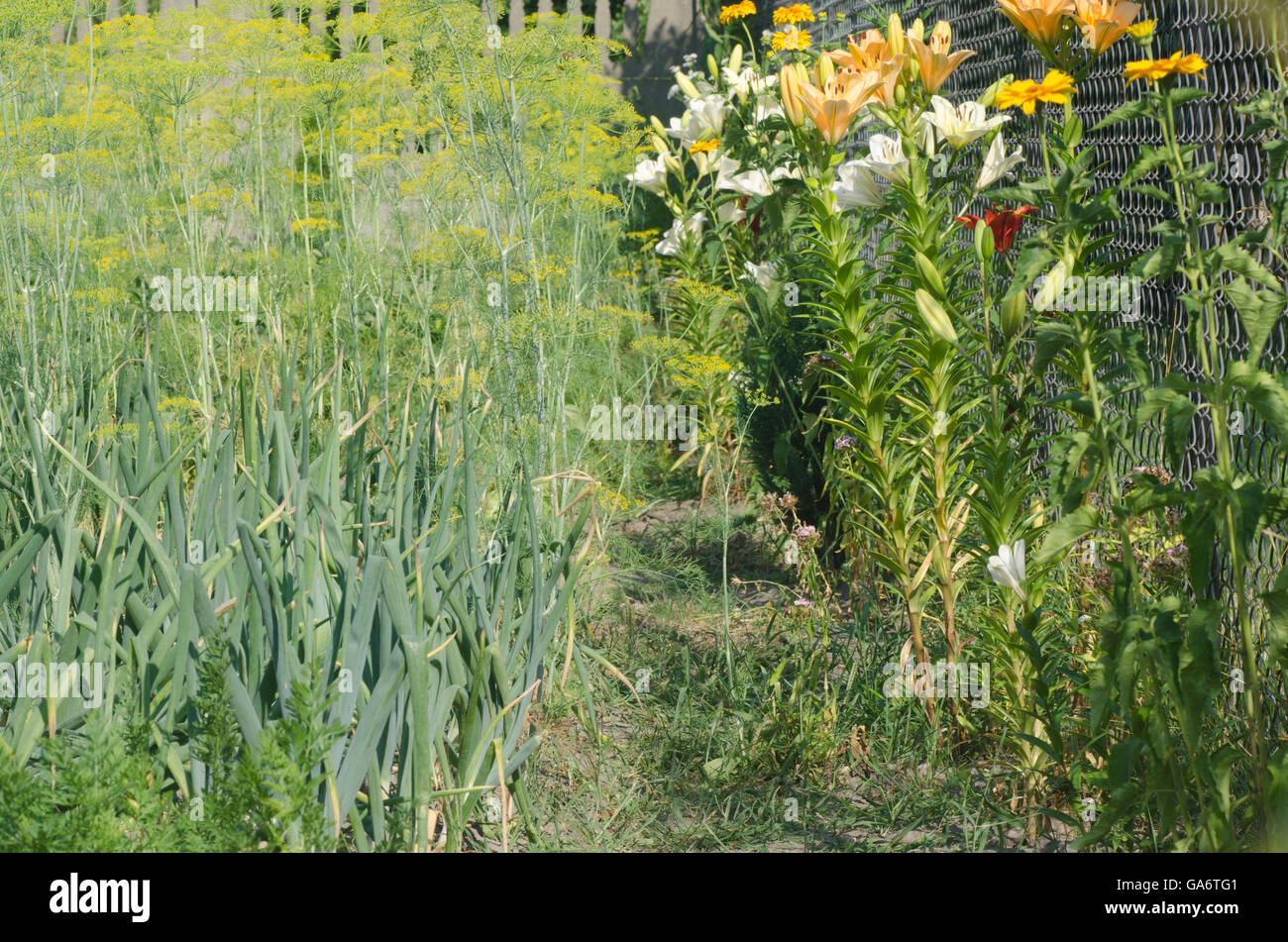 Chalet jardin avec légumes et fleurs Banque D'Images