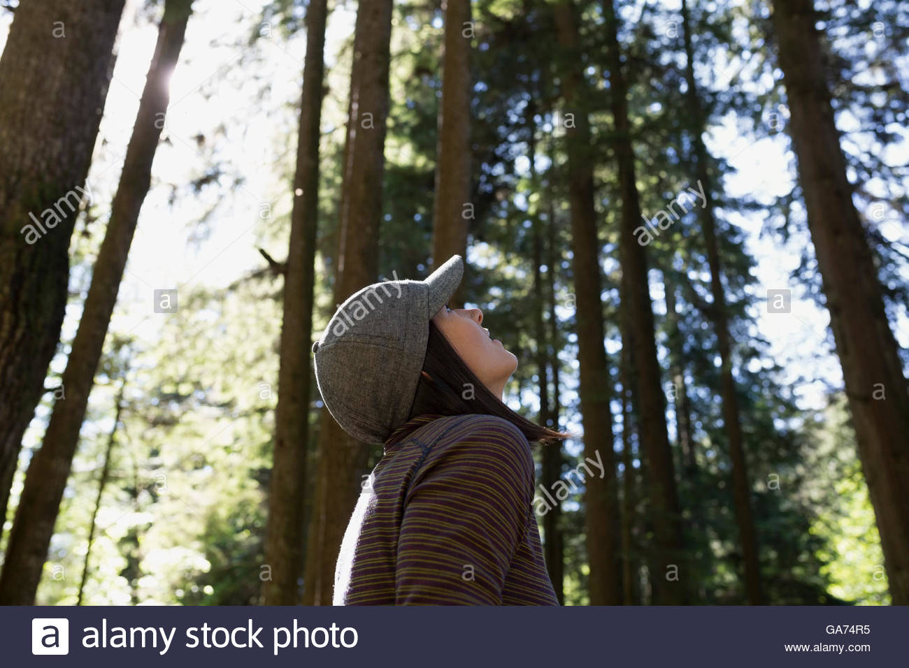 Femme à la recherche jusqu'à de grands arbres dans les bois Banque D'Images
