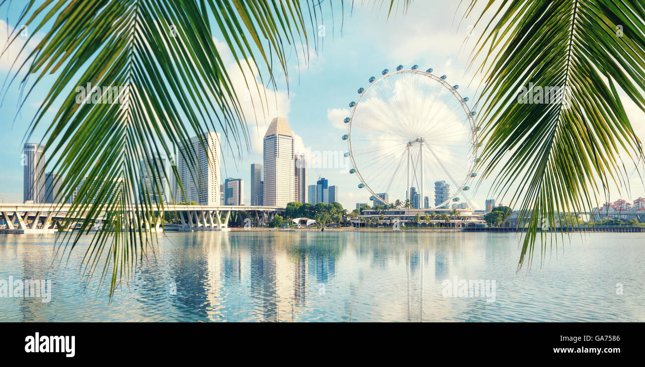 Jardins de la baie de Singapour à côté sur le premier plan palmier Banque D'Images